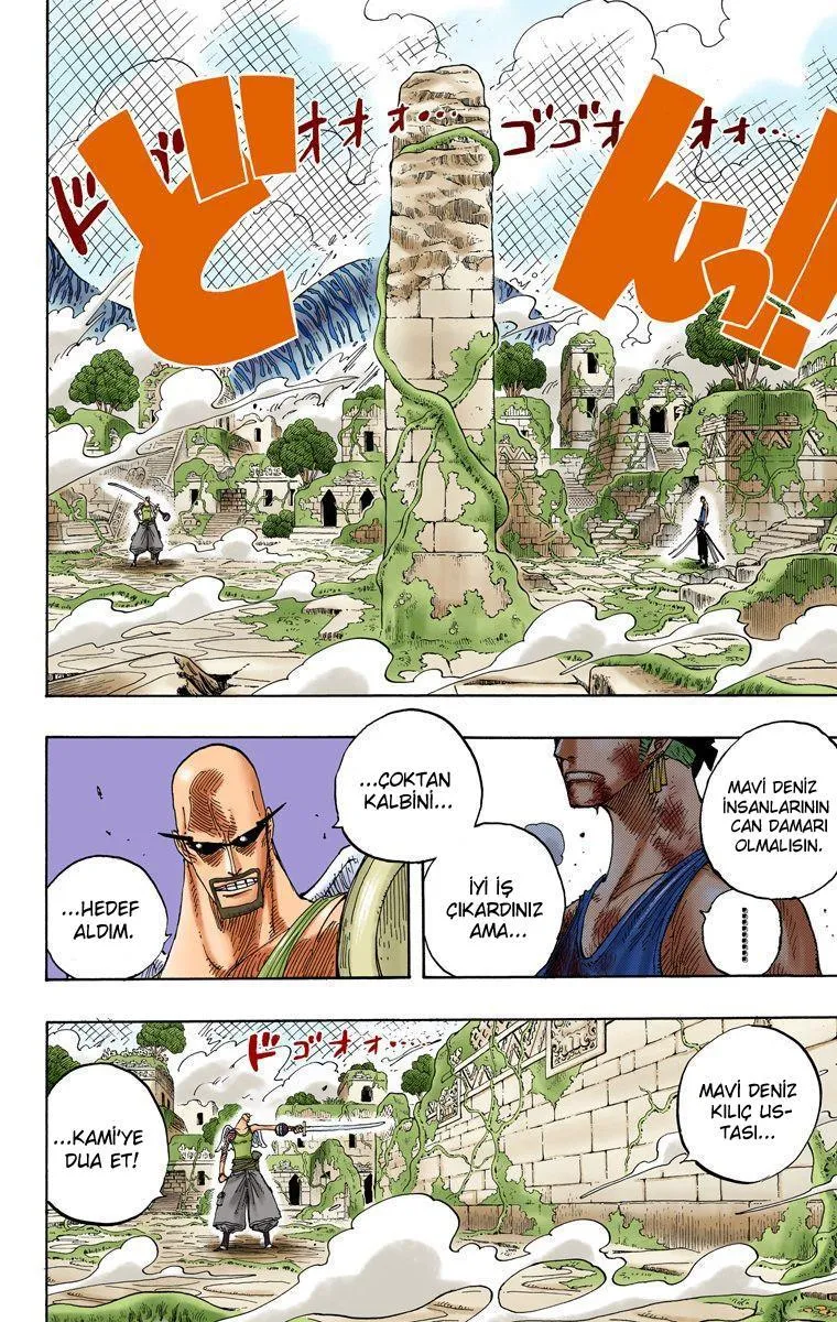 One Piece [Renkli] - Sayfa 17