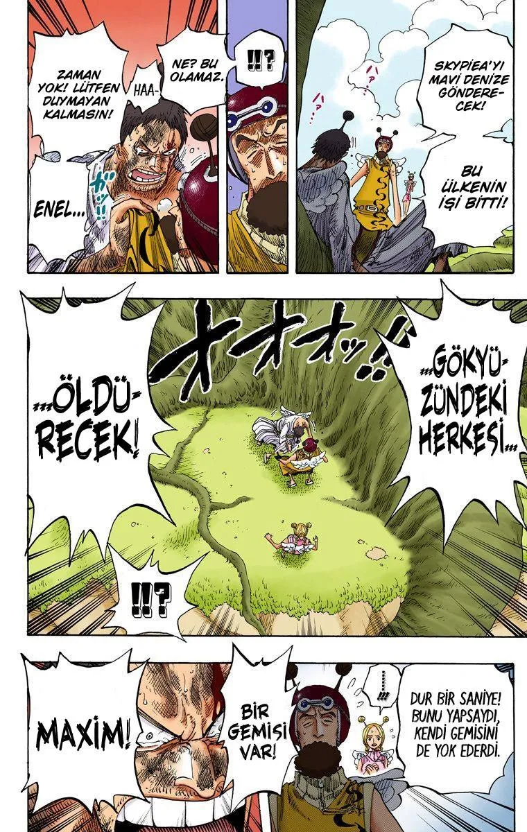 One Piece [Renkli] - Sayfa 13