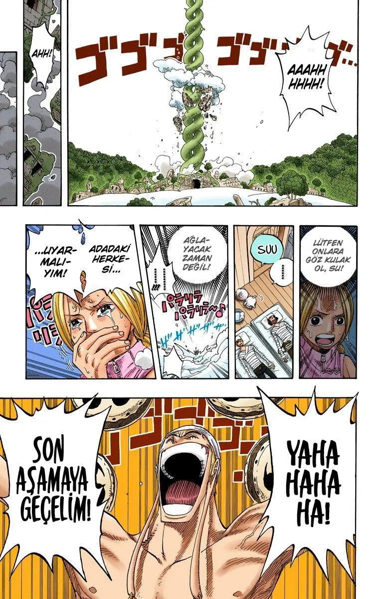 One Piece [Renkli] - Sayfa 19