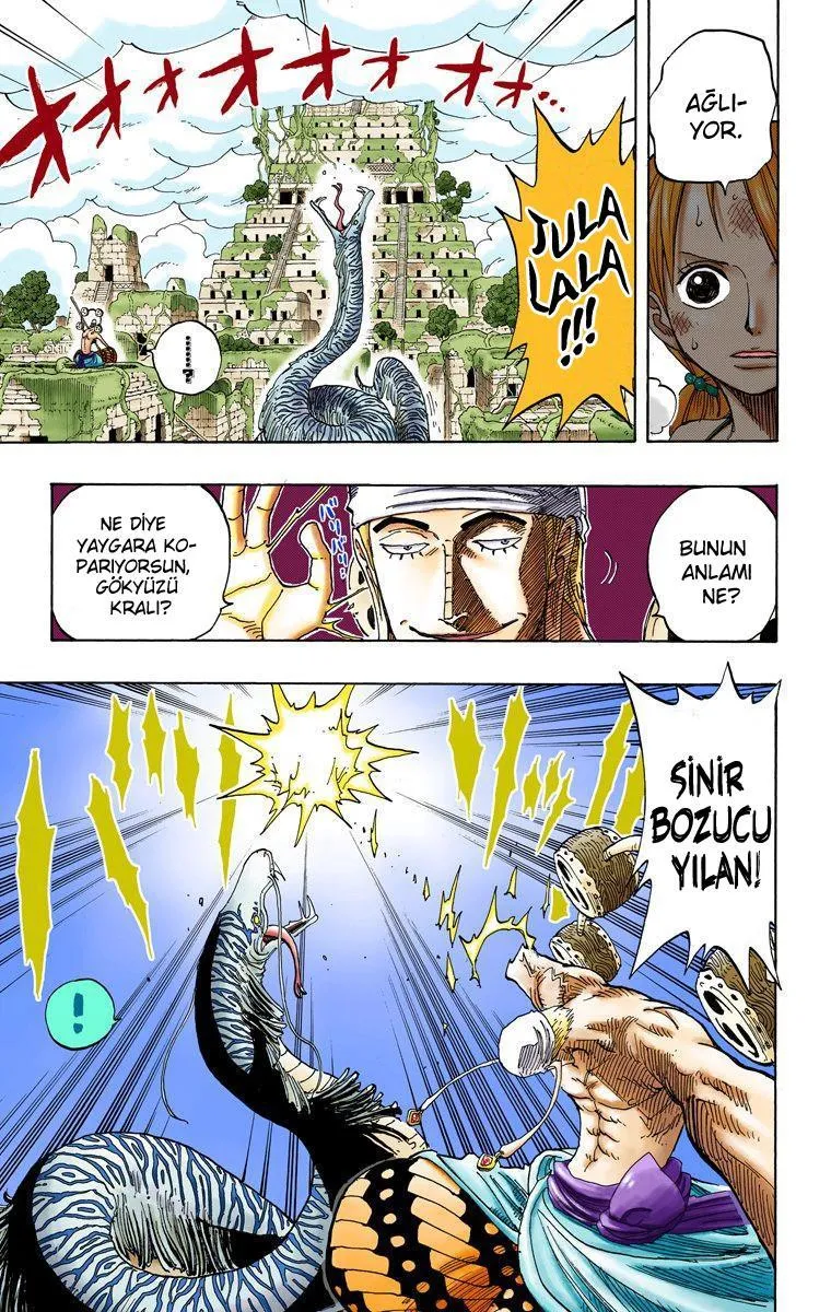 One Piece [Renkli] - Sayfa 12