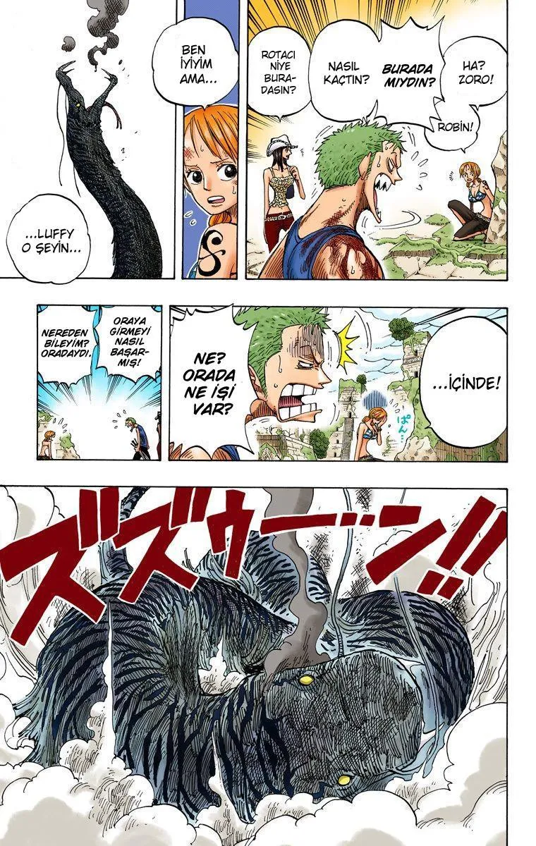 One Piece [Renkli] - Sayfa 14