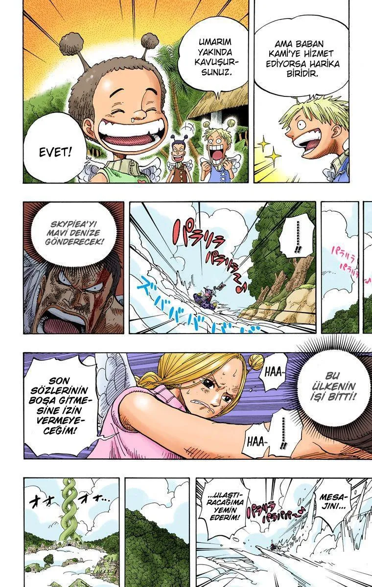 One Piece [Renkli] - Sayfa 6