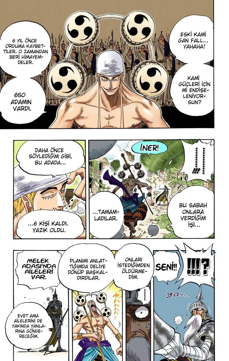 One Piece [Renkli] - Sayfa 13