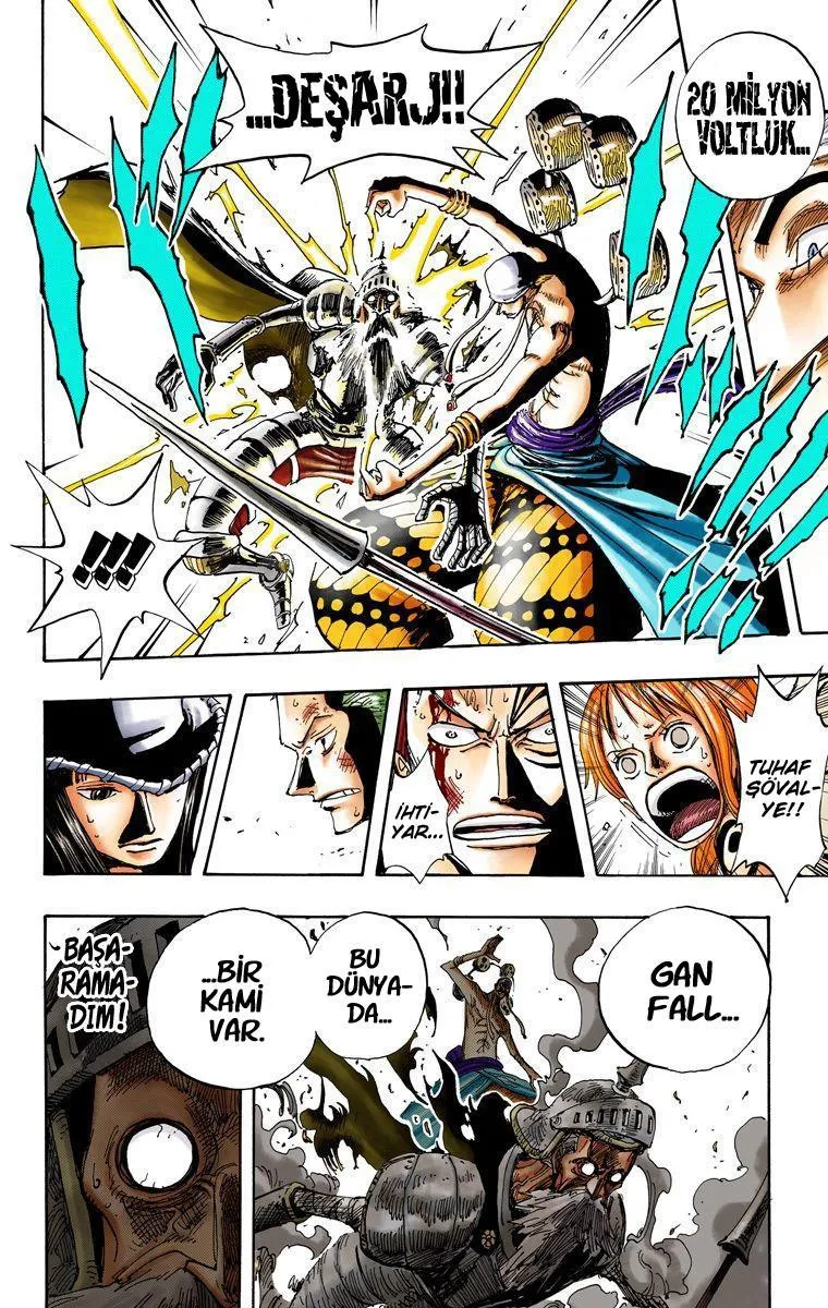 One Piece [Renkli] - Sayfa 16