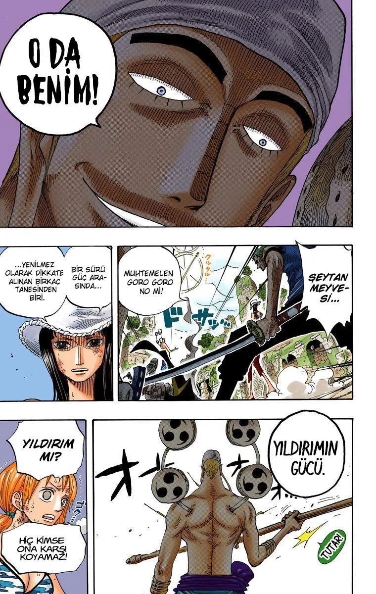 One Piece [Renkli] - Sayfa 17