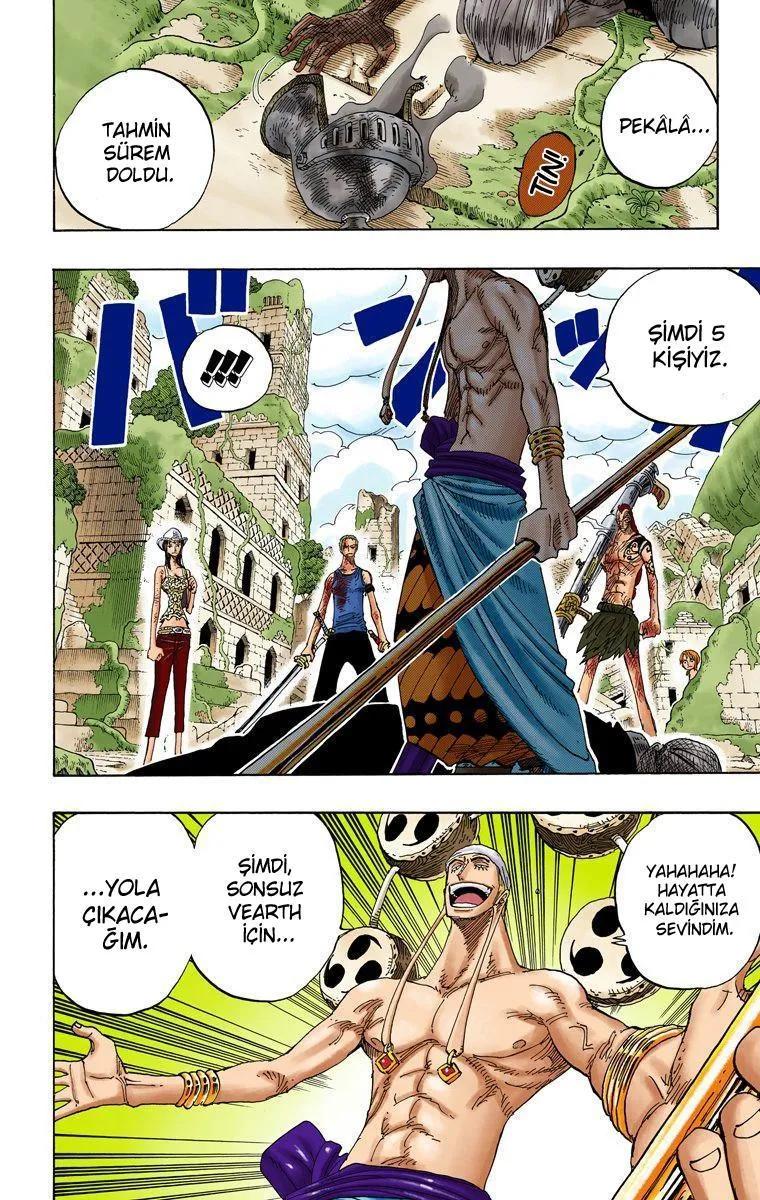 One Piece [Renkli] - Sayfa 18