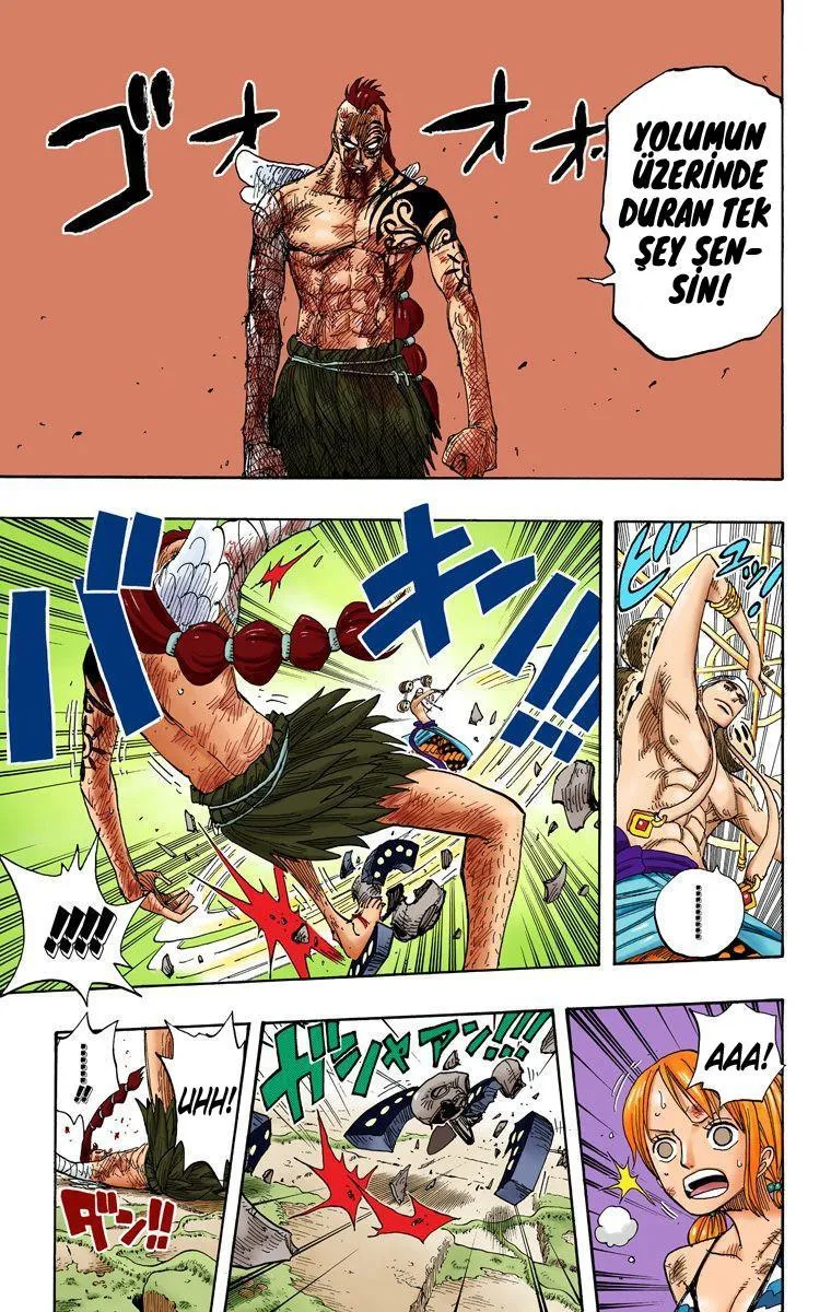 One Piece [Renkli] - Sayfa 6