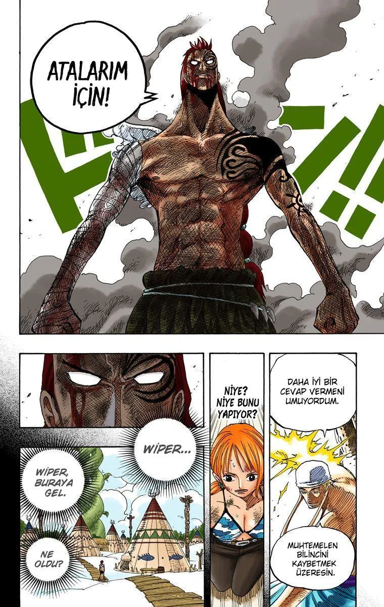 One Piece [Renkli] - Sayfa 13