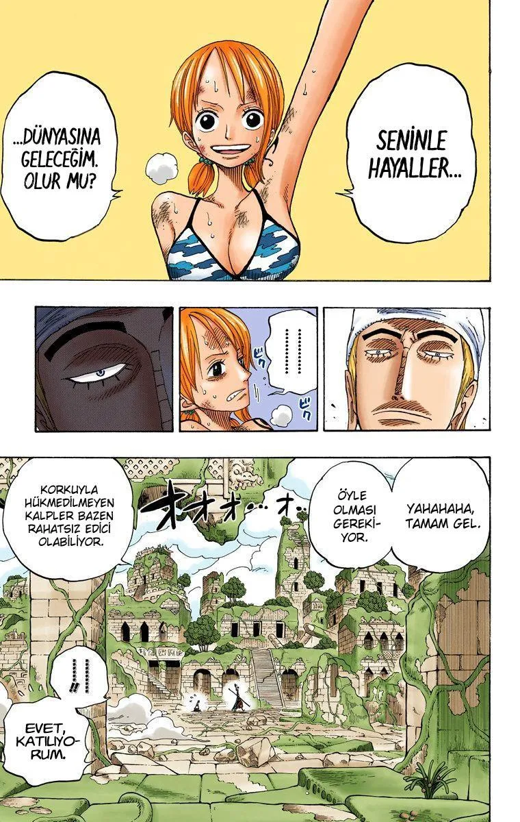 One Piece [Renkli] - Sayfa 18