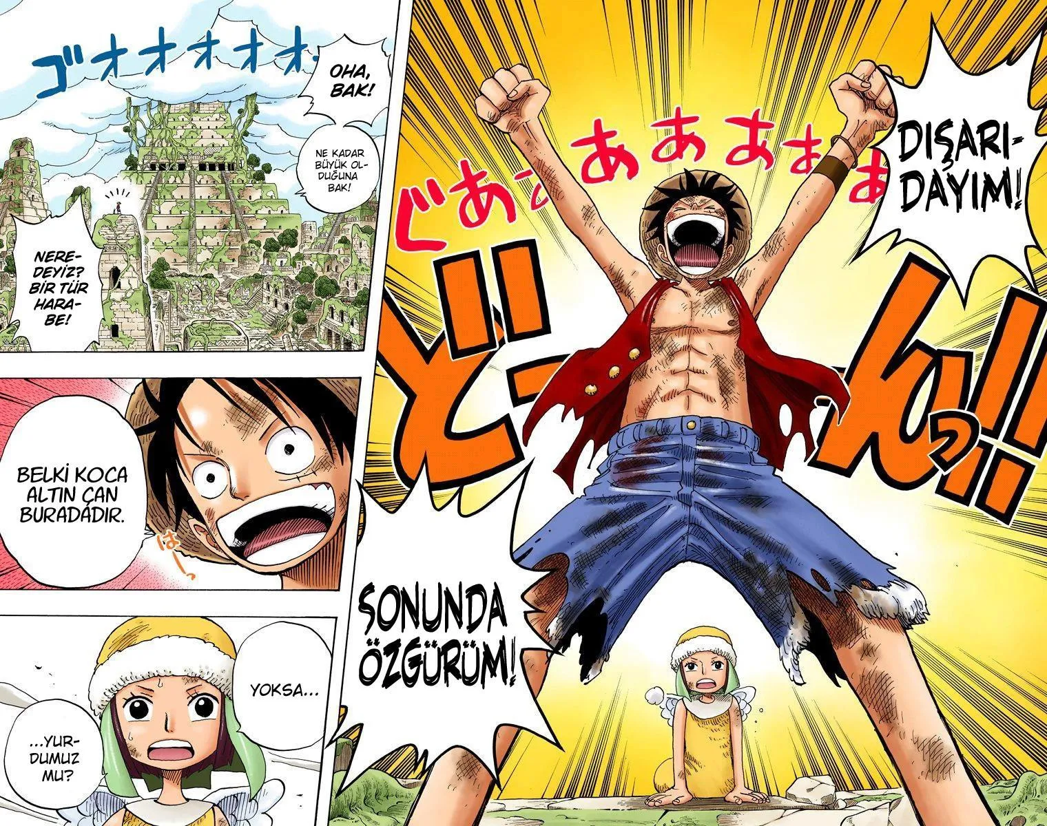 One Piece [Renkli] - Sayfa 12