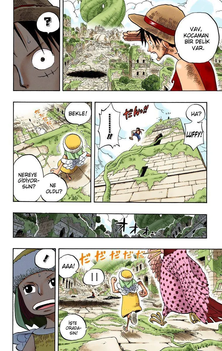 One Piece [Renkli] - Sayfa 13