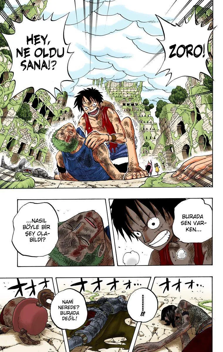 One Piece [Renkli] - Sayfa 14