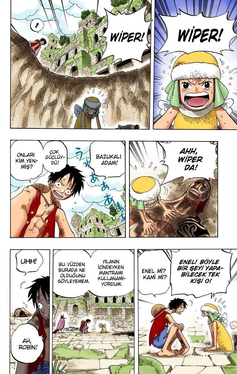 One Piece [Renkli] - Sayfa 15