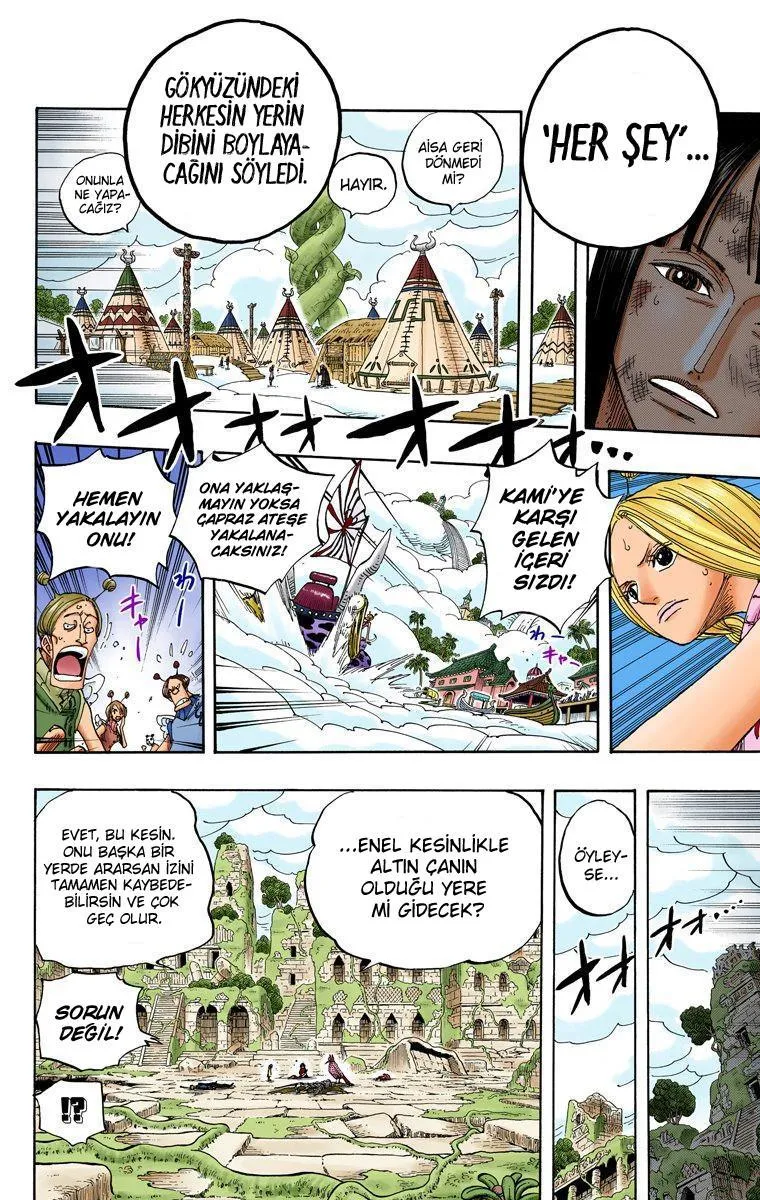 One Piece [Renkli] - Sayfa 17