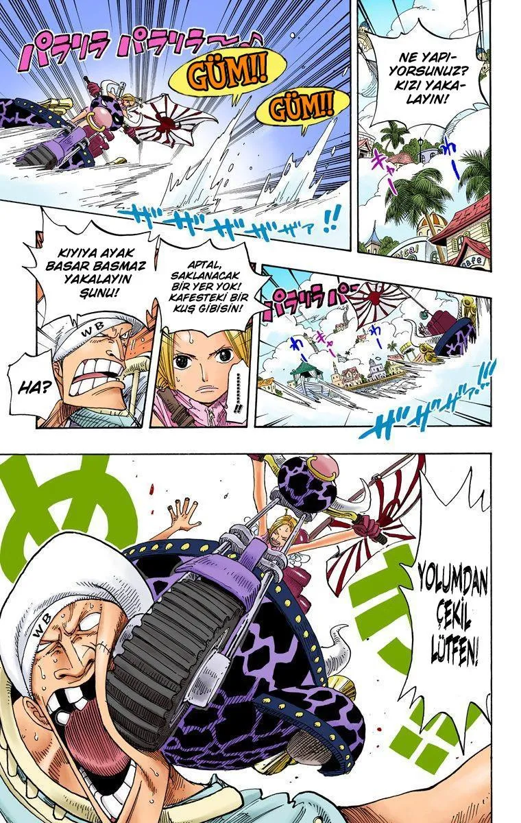 One Piece [Renkli] - Sayfa 6