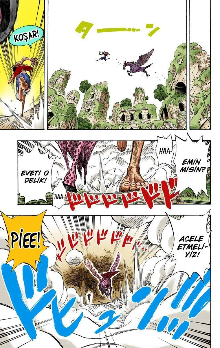 One Piece [Renkli] - Sayfa 16