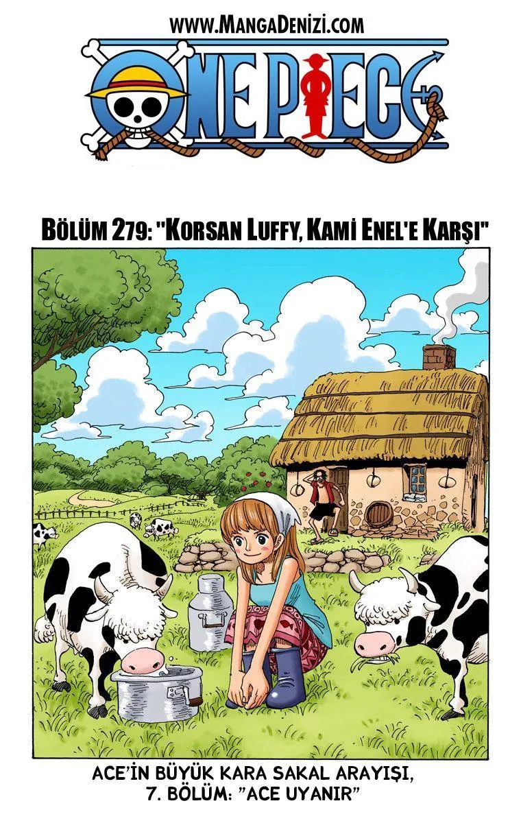 One Piece [Renkli] - Sayfa 2