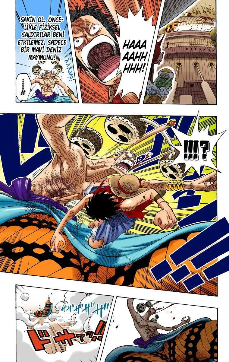 One Piece [Renkli] - Sayfa 18