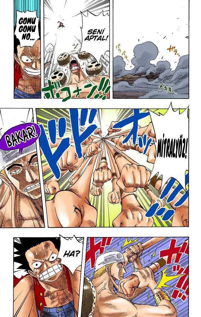 One Piece [Renkli] - Sayfa 14