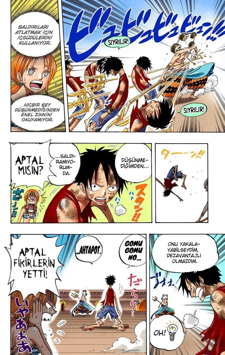 One Piece [Renkli] - Sayfa 14