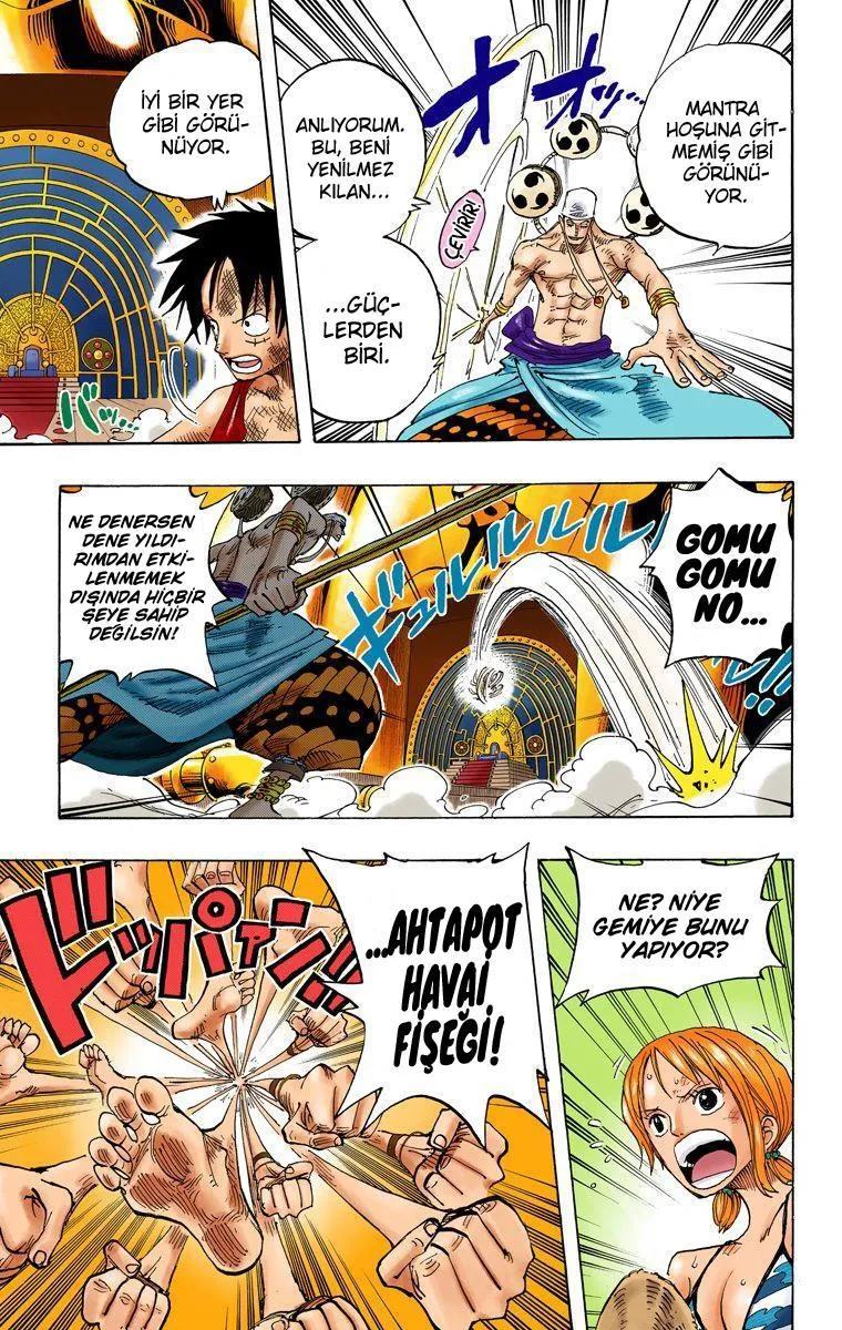 One Piece [Renkli] - Sayfa 15