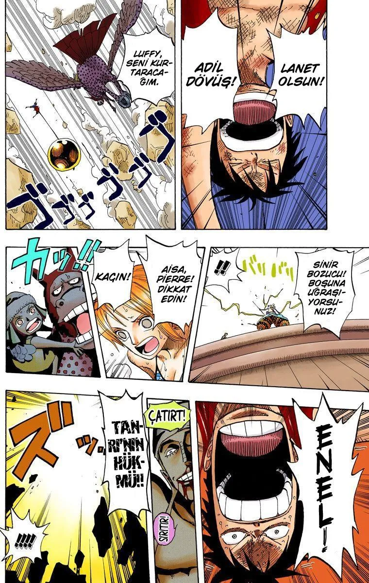 One Piece [Renkli] - Sayfa 14