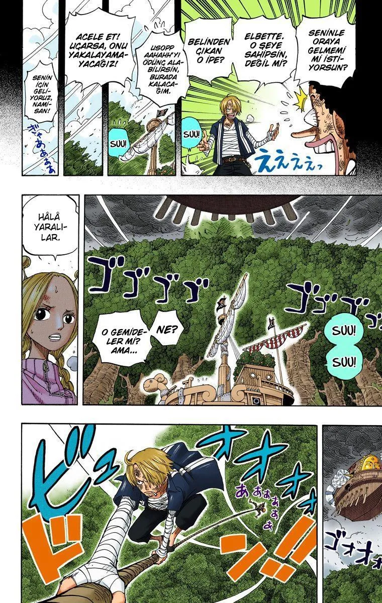 One Piece [Renkli] - Sayfa 5