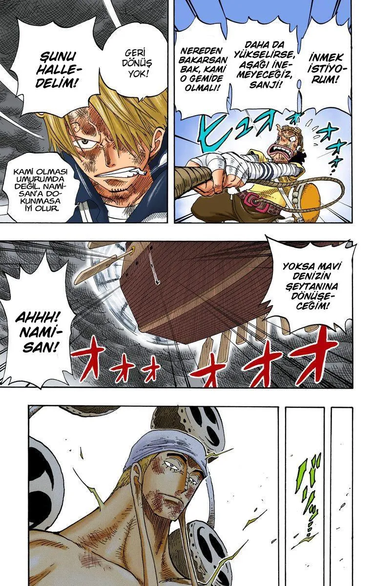 One Piece [Renkli] - Sayfa 6