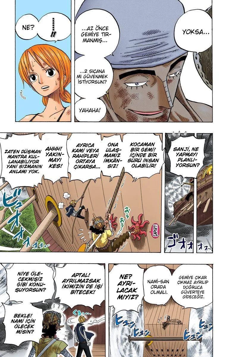 One Piece [Renkli] - Sayfa 8