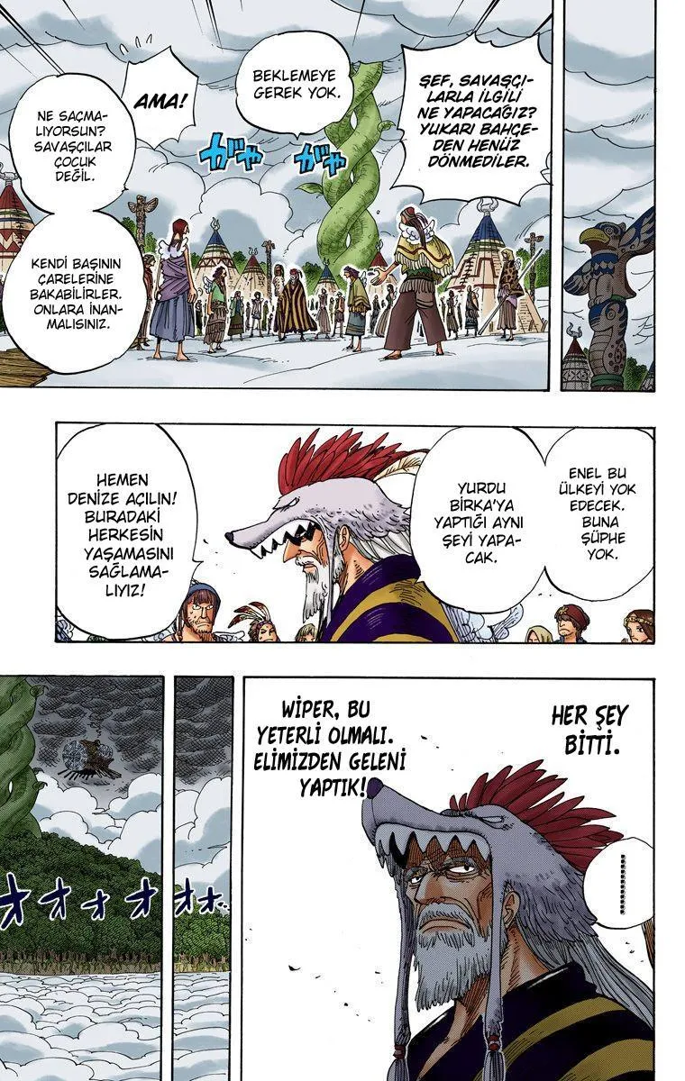 One Piece [Renkli] - Sayfa 14