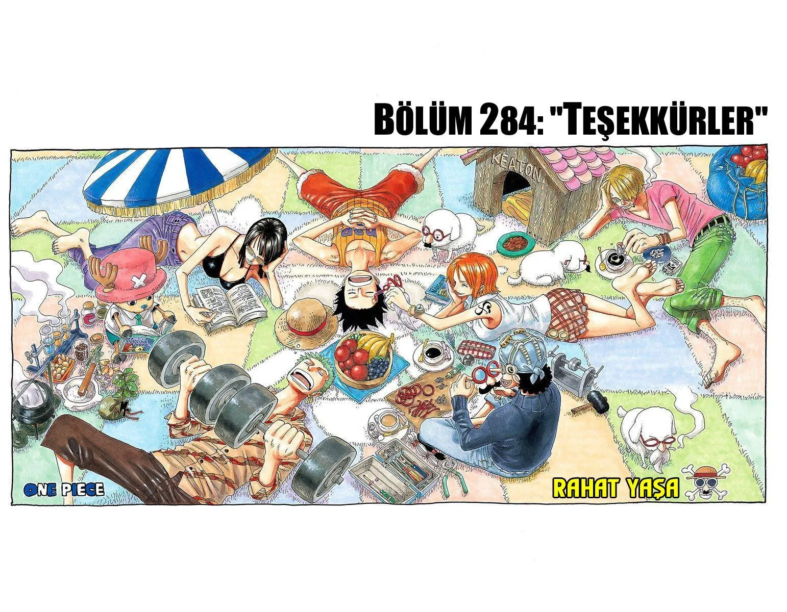 One Piece [Renkli] - Sayfa 2