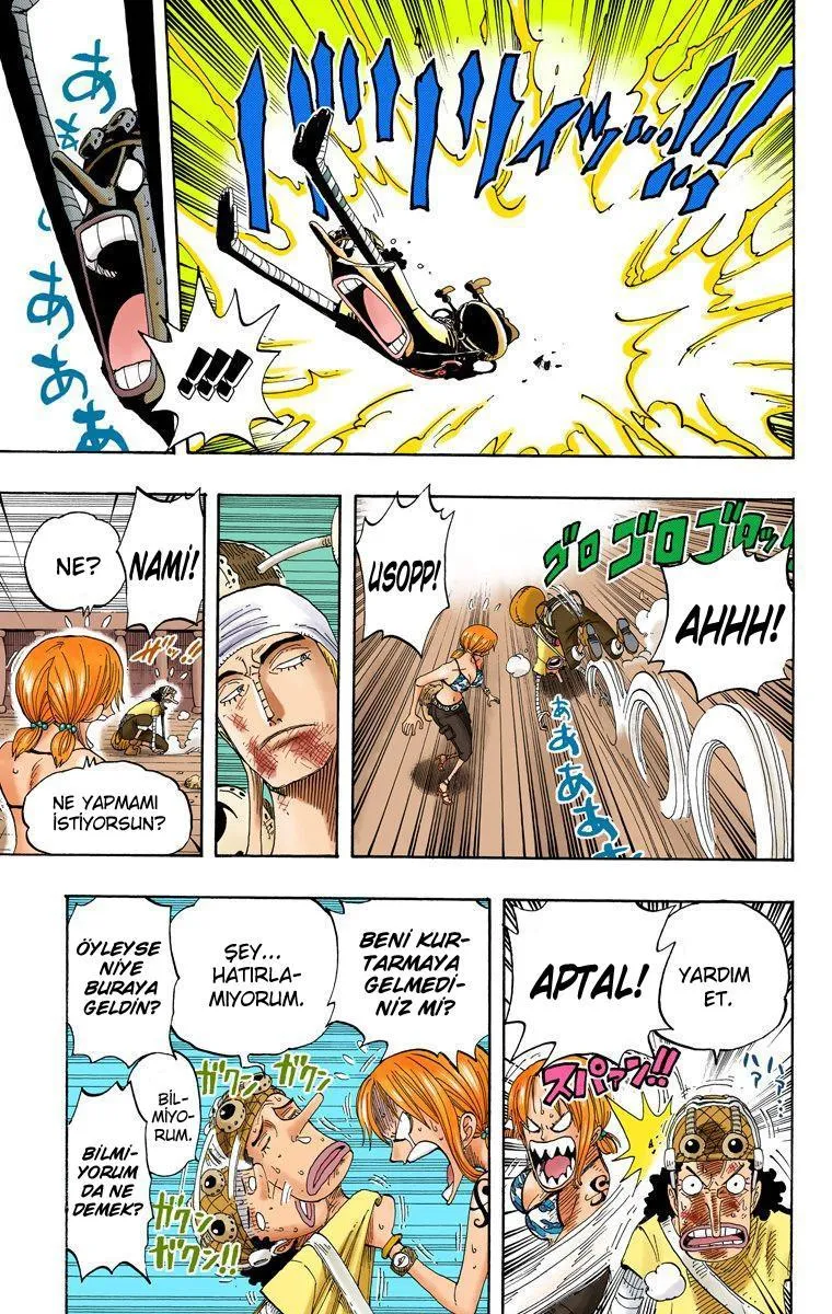 One Piece [Renkli] - Sayfa 5