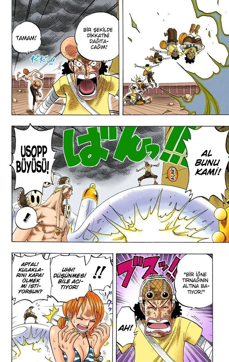 One Piece [Renkli] - Sayfa 8