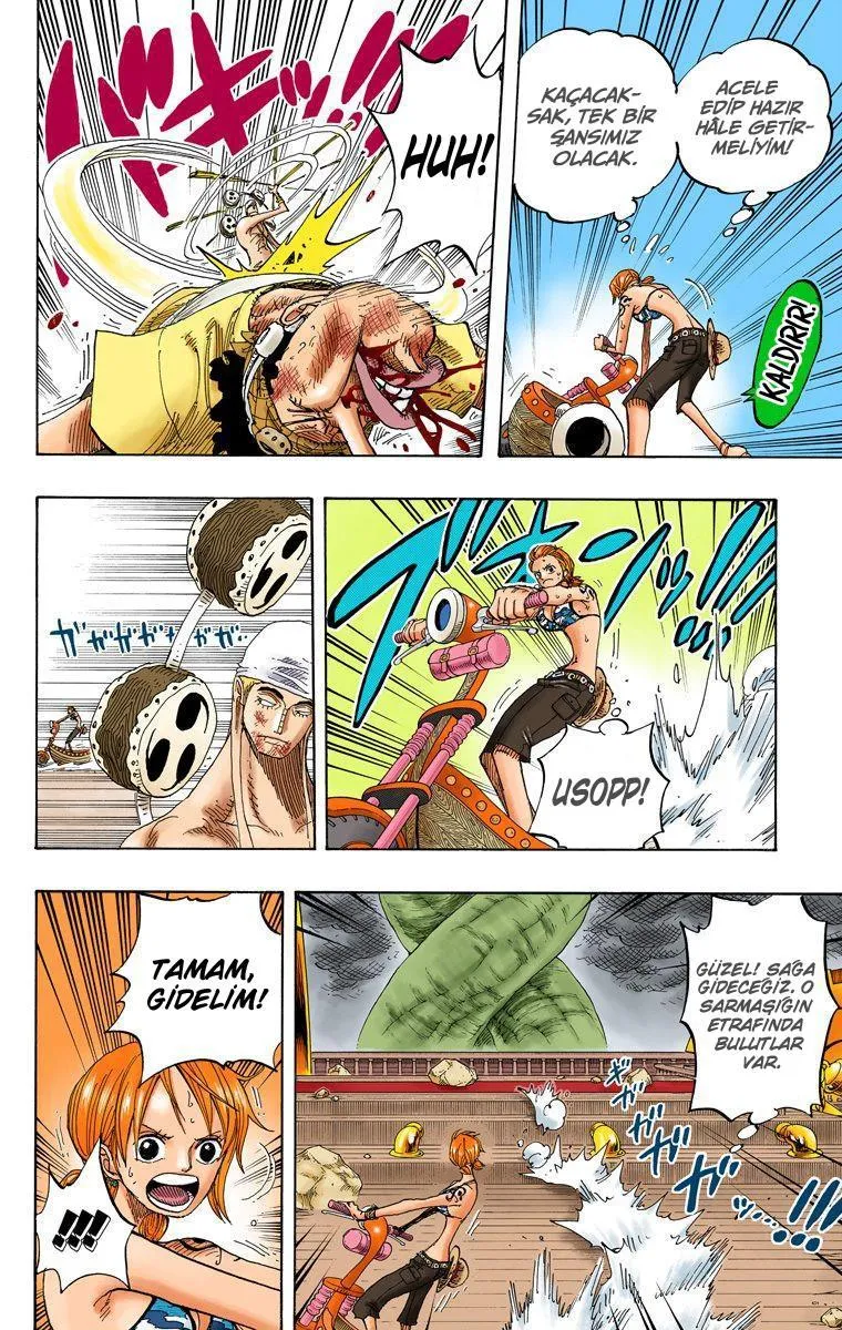 One Piece [Renkli] - Sayfa 10