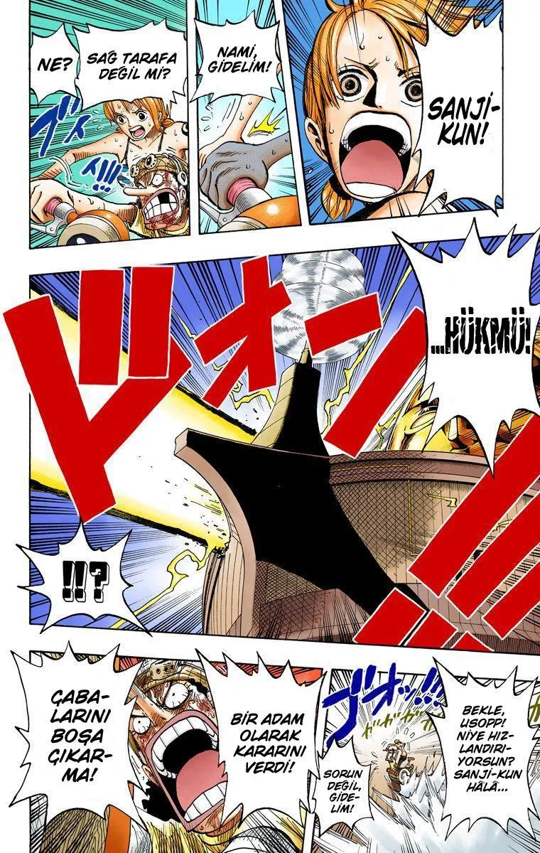 One Piece [Renkli] - Sayfa 14