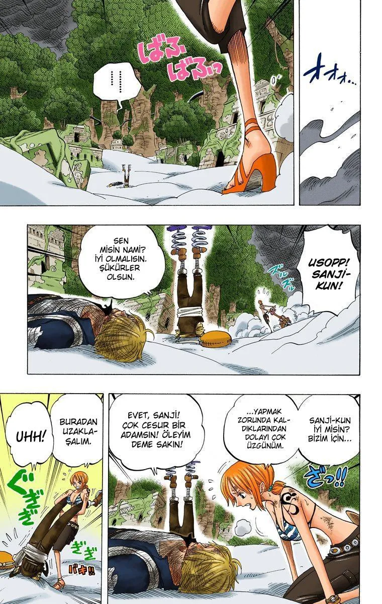 One Piece [Renkli] - Sayfa 4