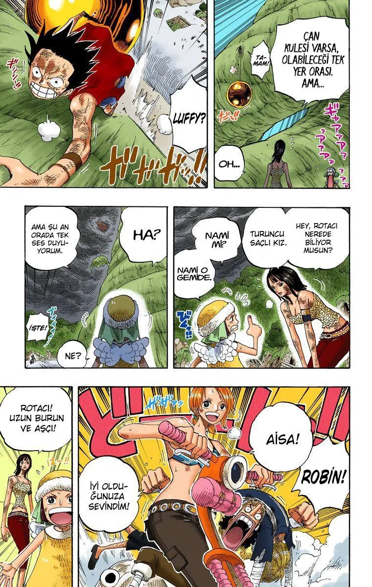 One Piece [Renkli] - Sayfa 12