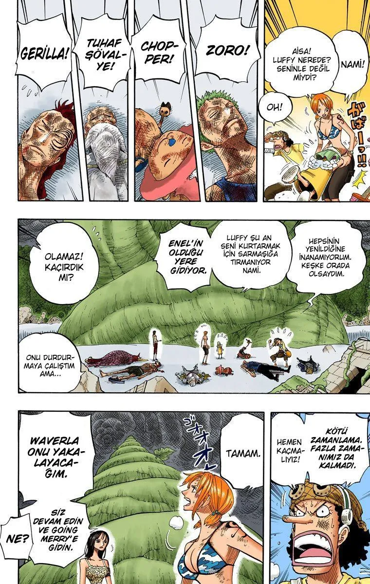 One Piece [Renkli] - Sayfa 13