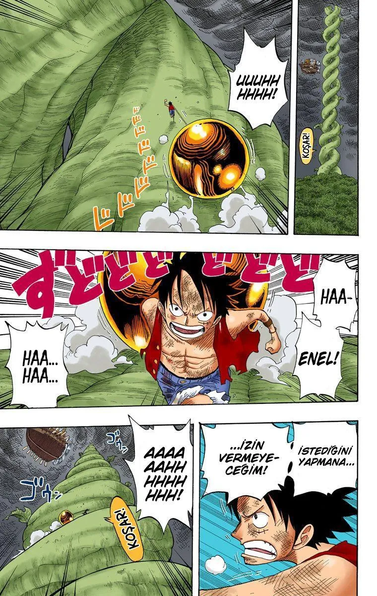 One Piece [Renkli] - Sayfa 14