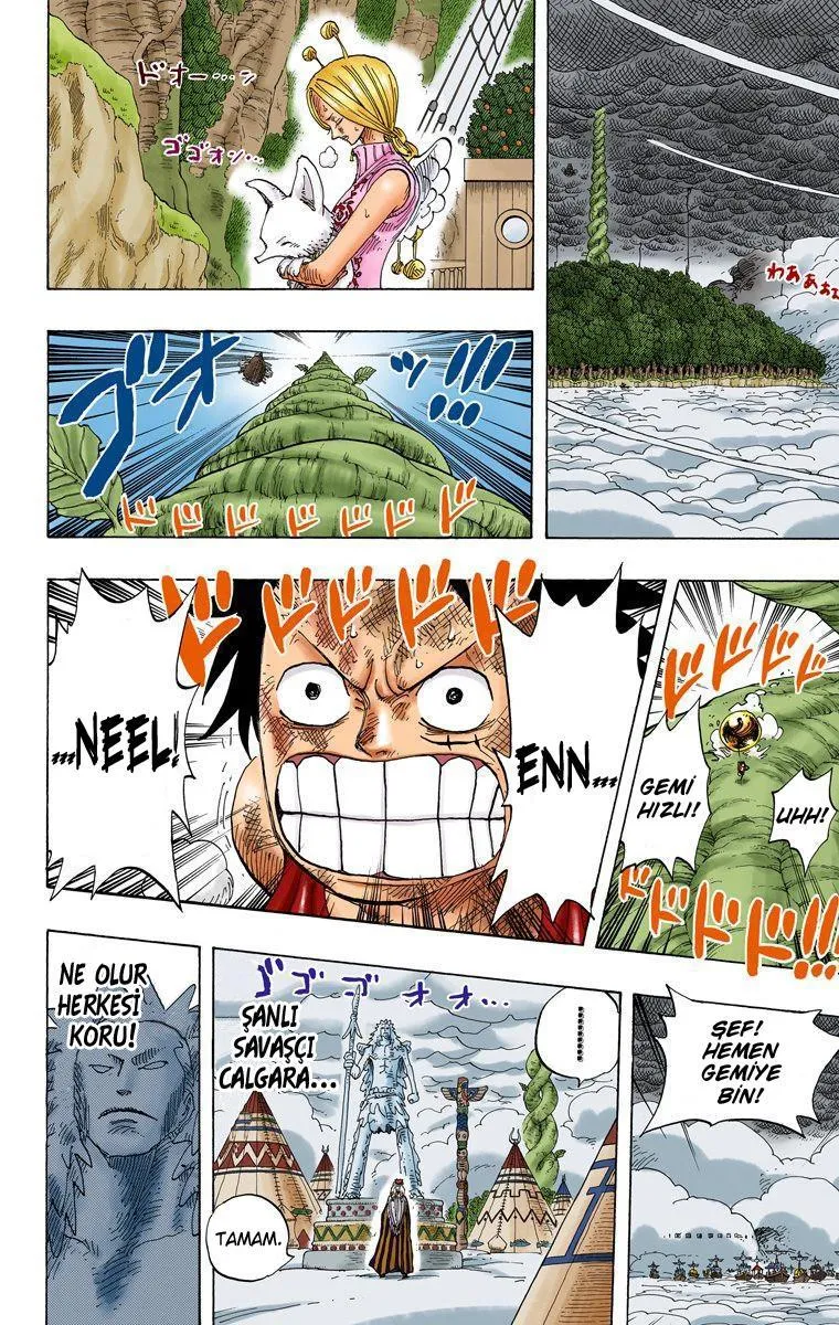 One Piece [Renkli] - Sayfa 5