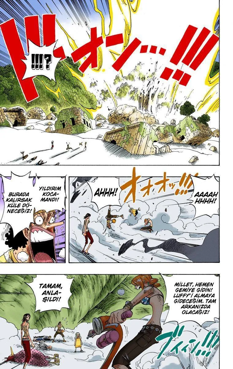 One Piece [Renkli] - Sayfa 6