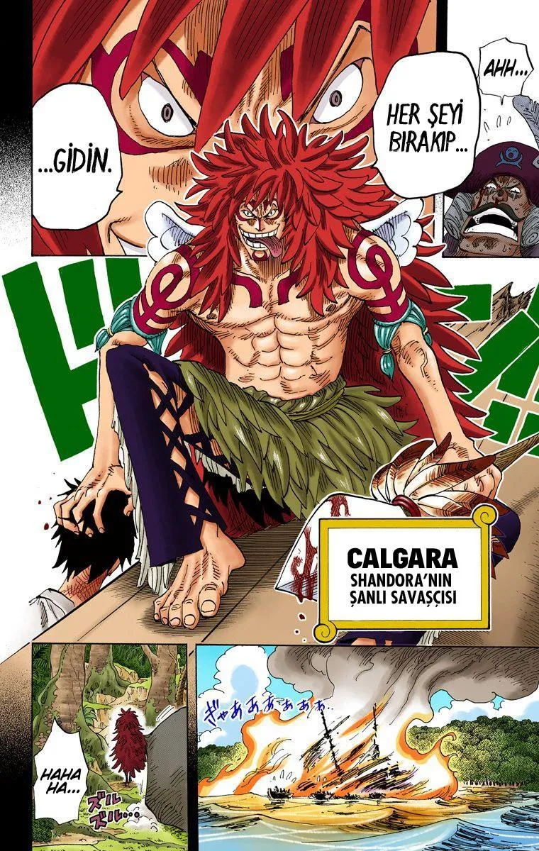 One Piece [Renkli] - Sayfa 15