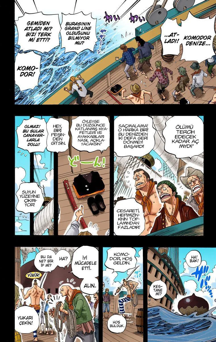 One Piece [Renkli] - Sayfa 17