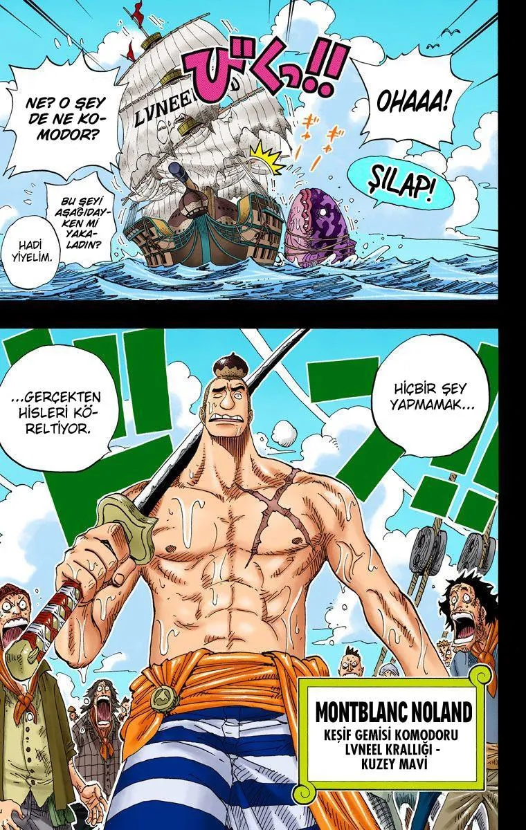 One Piece [Renkli] - Bölüm 0286 - Sayfa 18