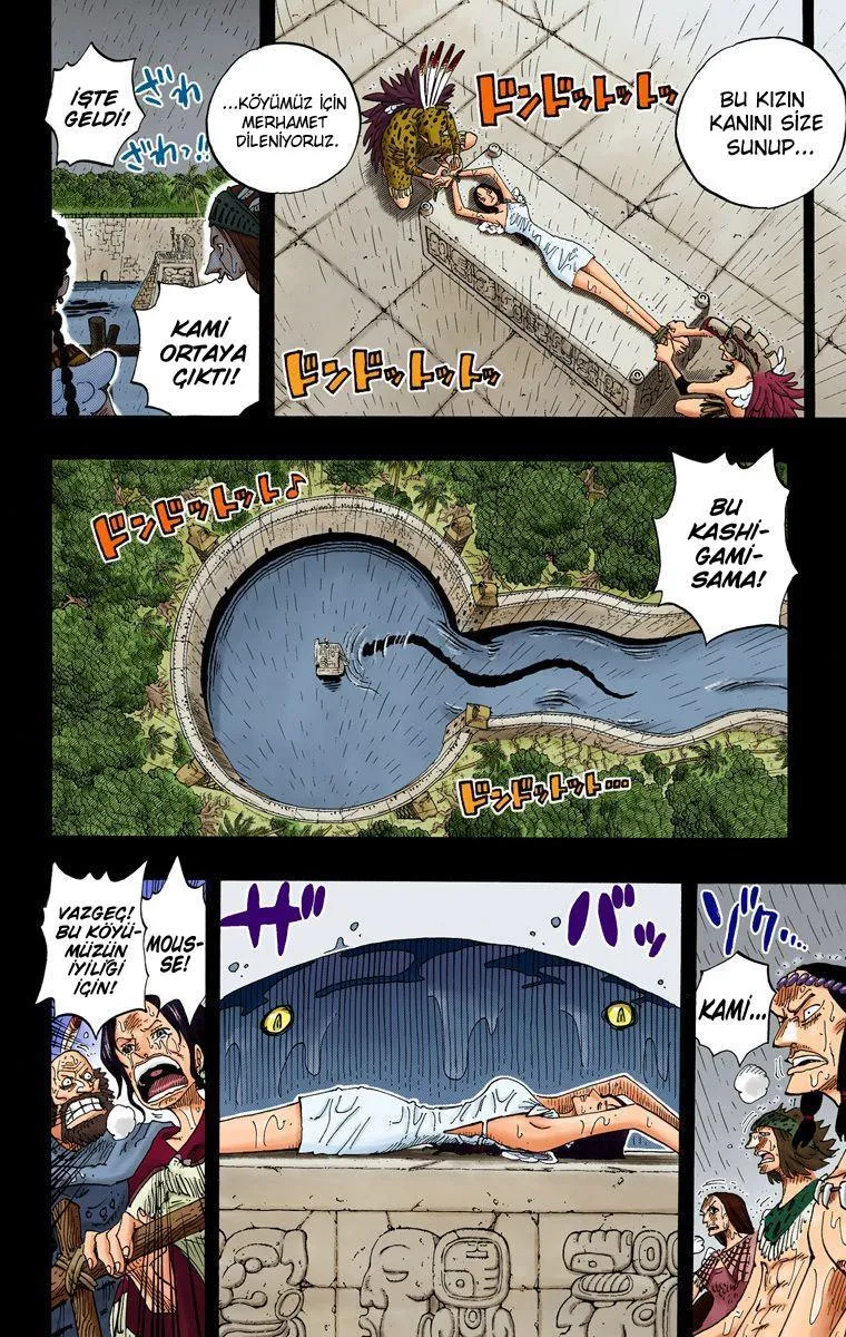 One Piece [Renkli] - Sayfa 16