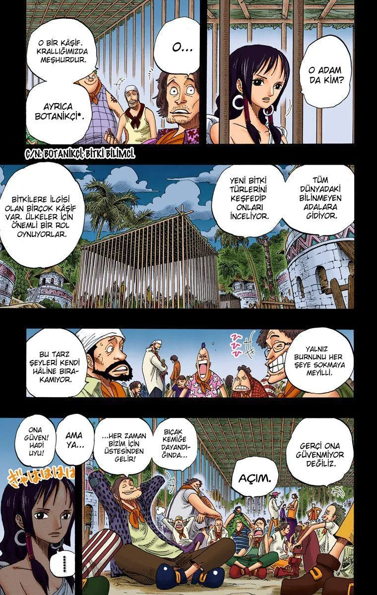 One Piece [Renkli] - Sayfa 12