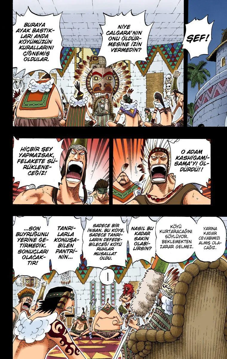 One Piece [Renkli] - Sayfa 13