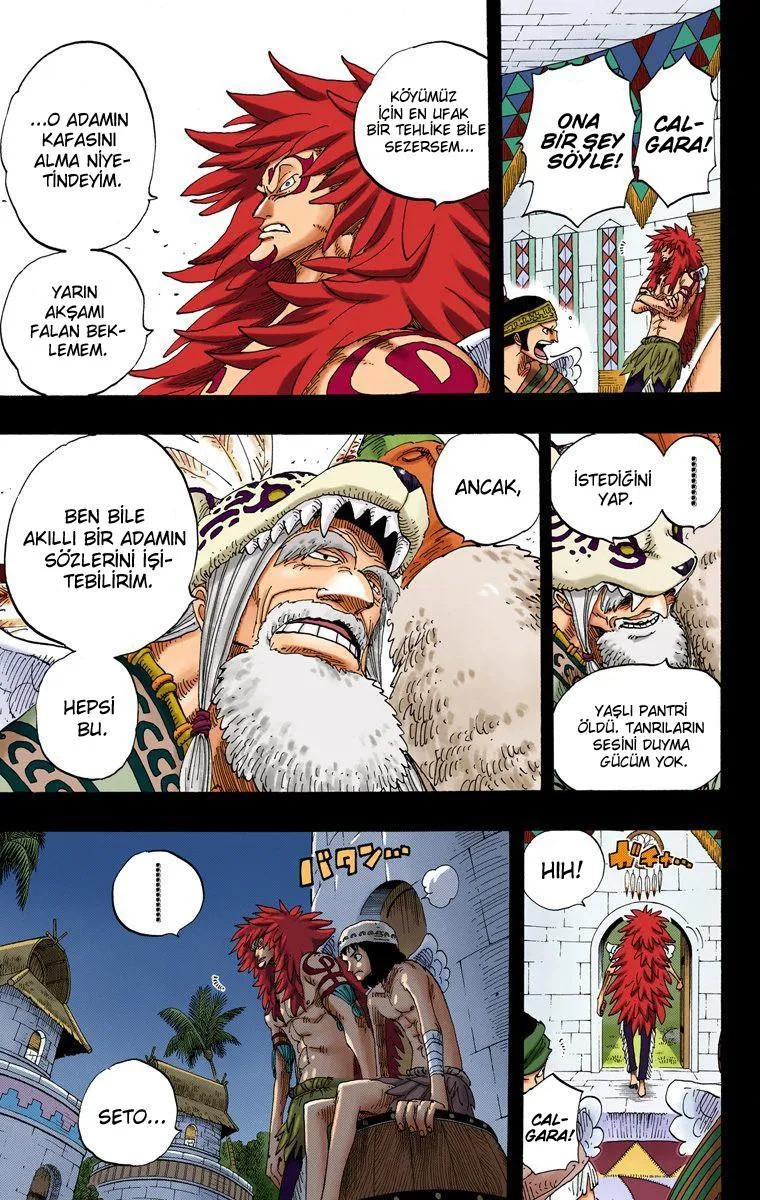 One Piece [Renkli] - Sayfa 14