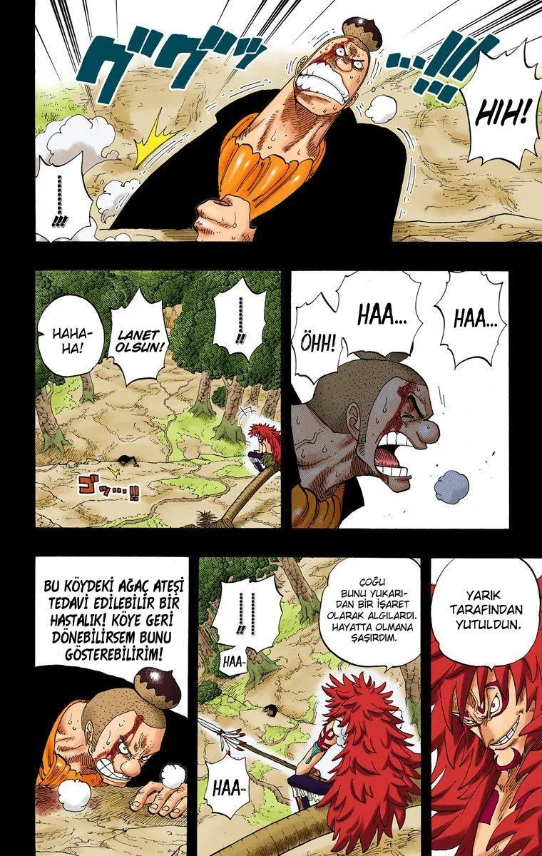 One Piece [Renkli] - Sayfa 3