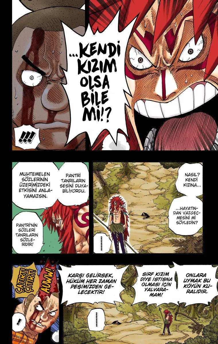 One Piece [Renkli] - Sayfa 13